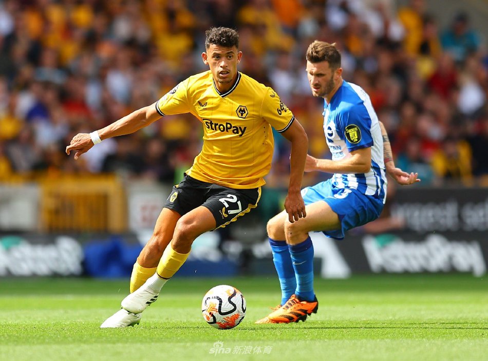 0多个国家 0多个国家